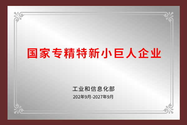 專(zhuān)精特新小巨人